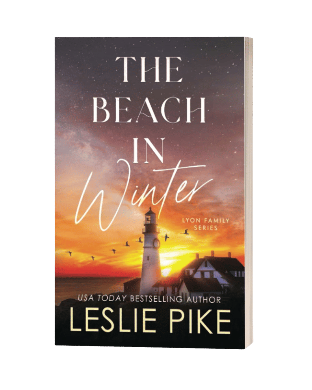 The Beach In Winter - Discreet Paperback